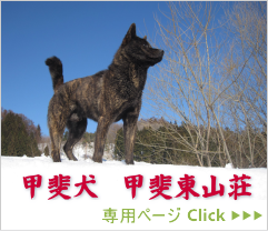 �b�㓌�R��