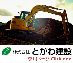 ������ЂƂ��팚��