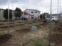 ���A�H���C���[�W